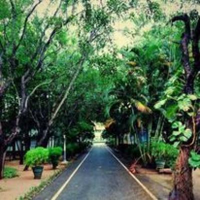 Main road